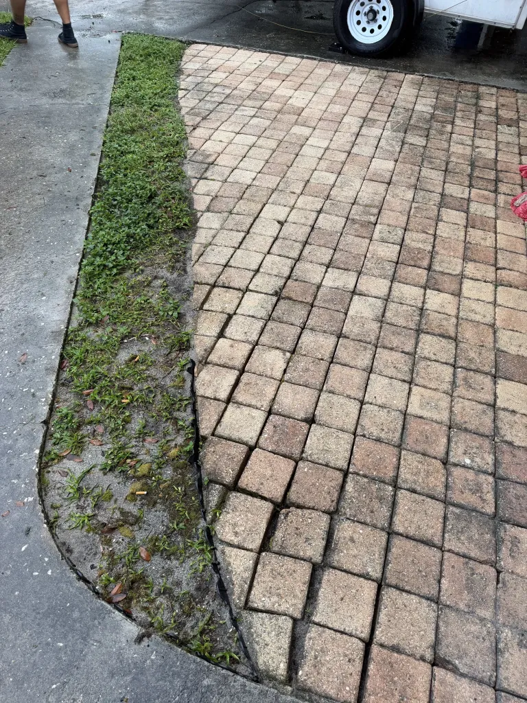 Another angle of the paver driveway cleaning project